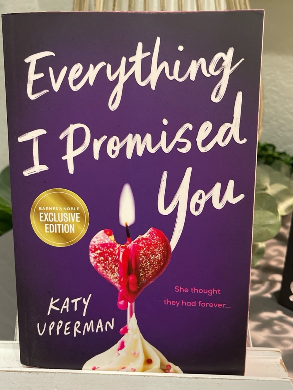 Barnes & Noble "Everything I Promised You" by Katy Upperman Paperback